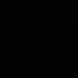 Meet your Posher, Bridgette